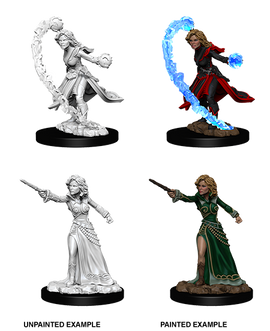 Pathfinder Deep Cuts Unpainted Miniatures: W06 Human Wizard Female - Bards & Cards