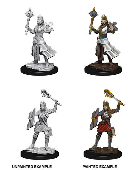 Dungeons & Dragons Nolzur's Marvelous Unpainted Miniatures: W08 Human Cleric Female - Bards & Cards
