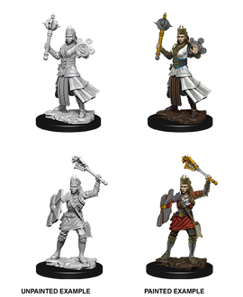Dungeons & Dragons Nolzur's Marvelous Unpainted Miniatures: W08 Human Cleric Female - Bards & Cards