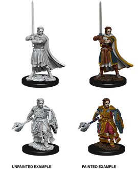 Dungeons & Dragons Nolzur's Marvelous Unpainted Miniatures: W08 Human Cleric Male - Bards & Cards