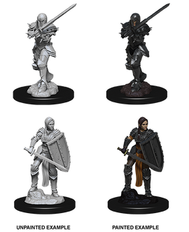 Dungeons & Dragons Nolzur's Marvelous Unpainted Miniatures: W09 Human Fighter Female - Bards & Cards