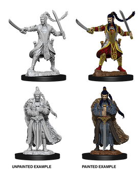 Dungeons & Dragons Nolzur's Marvelous Unpainted Miniatures: W09 Elf Paladin Male - Bards & Cards