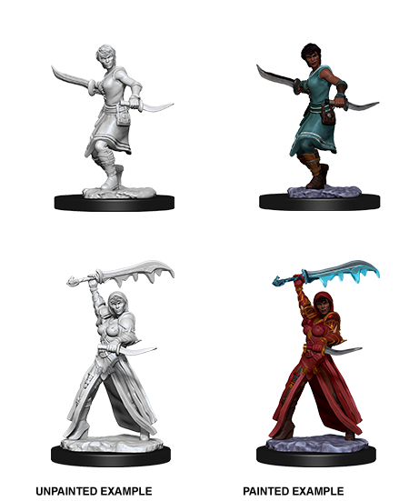 Dungeons & Dragons Nolzur's Marvelous Unpainted Miniatures: W11 Human Rogue Female - Bards & Cards