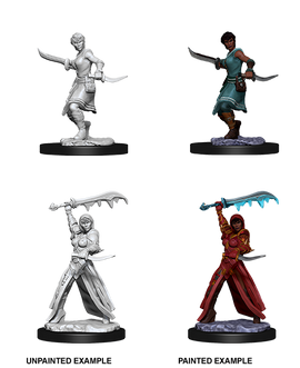 Dungeons & Dragons Nolzur's Marvelous Unpainted Miniatures: W11 Human Rogue Female - Bards & Cards