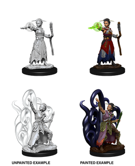 Nolzur's Marvelous Unpainted Miniatures: W10 Female Human Warlock - Bards & Cards