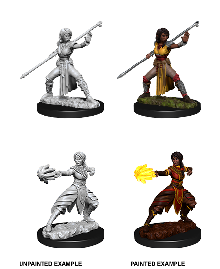 Dungeons & Dragons Nolzur's Marvelous Unpainted Miniatures: W10 Half-Elf Monk Female - Bards & Cards