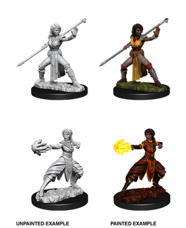 Dungeons & Dragons Nolzur's Marvelous Unpainted Miniatures: W10 Half-Elf Monk Female - Bards & Cards