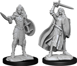 Pathfinder Deep Cuts Unpainted Miniatures: W14 Human Champion Female - Bards & Cards