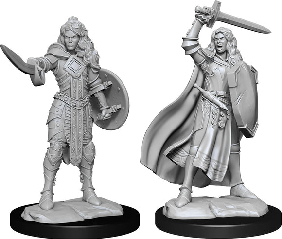 Pathfinder Deep Cuts Unpainted Miniatures: W14 Human Champion Female - Bards & Cards
