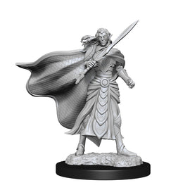 Magic the Gathering Unpainted Miniatures: W02 Elf Fighter & Elf Cleric - Bards & Cards