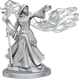 Dungeons & Dragons Frameworks: W01 Elf Wizard Female - Bards & Cards