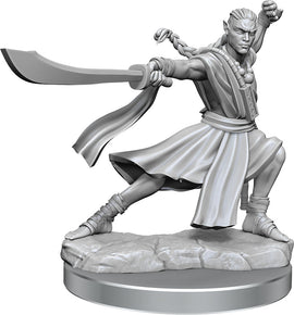 Dungeons & Dragons Frameworks: W01 Elf Monk Male - Bards & Cards