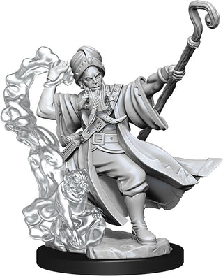 Dungeons & Dragons Frameworks: W01 Human Wizard Male - Bards & Cards