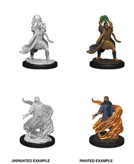Dungeons & Dragons Nolzur's Marvelous Unpainted Miniatures: W11 Elf Sorcerer Male - Bards & Cards