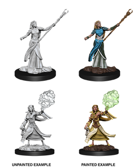 Dungeons & Dragons Nolzur's Marvelous Unpainted Miniatures: W12 Elf Sorcerer Female - Bards & Cards