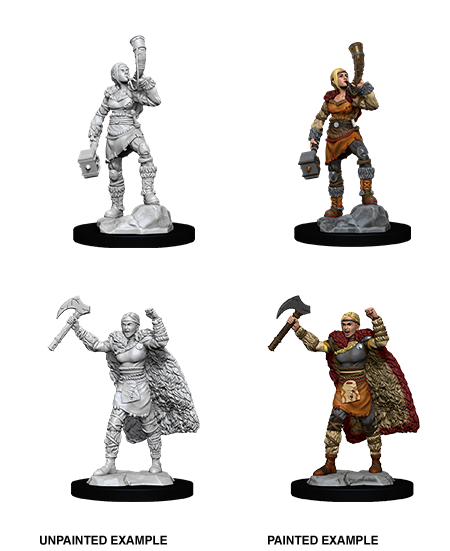 Dungeons & Dragons Nolzur's Marvelous Unpainted Miniatures: W12 Human Barbarian Female - Bards & Cards