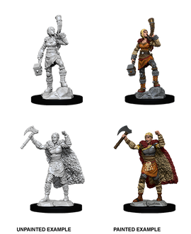 Dungeons & Dragons Nolzur's Marvelous Unpainted Miniatures: W12 Human Barbarian Female - Bards & Cards