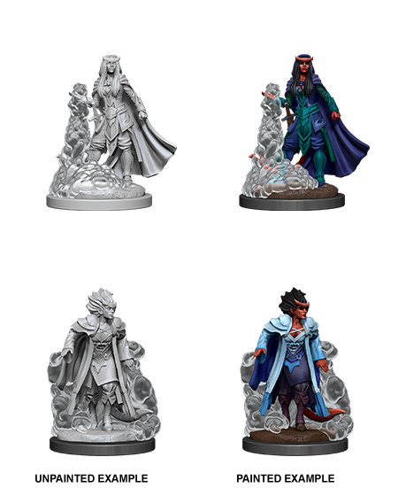 Dungeons & Dragons Nolzur's Marvelous Unpainted Miniatures: W12 Tiefling Sorcerer Female - Bards & Cards