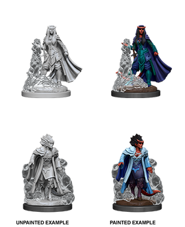 Dungeons & Dragons Nolzur's Marvelous Unpainted Miniatures: W12 Tiefling Sorcerer Female - Bards & Cards