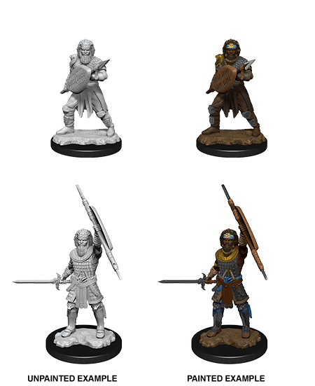 Dungeons & Dragons Nolzur's Marvelous Unpainted Miniatures: W13 Human Fighter Male - Bards & Cards