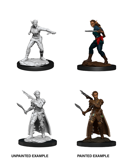 Dungeons & Dragons Nolzur's Marvelous Unpainted Miniatures: W13 Shifter Rogue - Bards & Cards