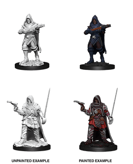 Pathfinder Deep Cuts Unpainted Miniatures: W13 Human Rogue Male - Bards & Cards