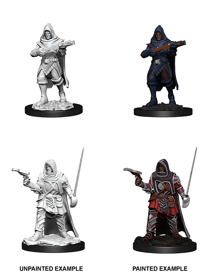 Pathfinder Deep Cuts Unpainted Miniatures: W13 Human Rogue Male - Bards & Cards