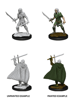 Pathfinder Deep Cuts Unpainted Miniatures: W13 Male Elf Fighter - Bards & Cards