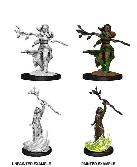Dungeons & Dragons Nolzur's Marvelous Unpainted Miniatures: W14 Human Druid Female - Bards & Cards