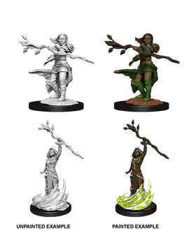 Dungeons & Dragons Nolzur's Marvelous Unpainted Miniatures: W14 Human Druid Female - Bards & Cards