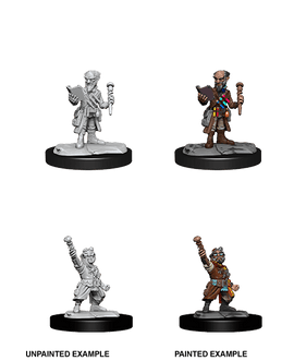 Dungeons & Dragons Nolzur's Marvelous Unpainted Miniatures: W14 Gnome Artificer Male - Bards & Cards