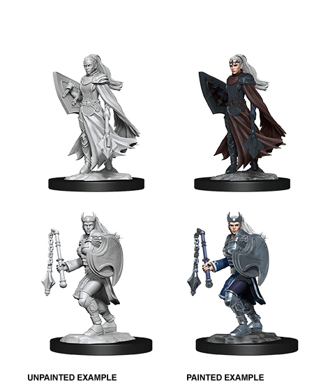 Dungeons & Dragons Nolzur's Marvelous Unpainted Miniatures: W14 Kalashtar Cleric Female - Bards & Cards