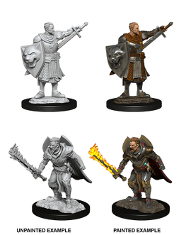 Pathfinder Deep Cuts Unpainted Miniatures: W14 Human Champion Male - Bards & Cards