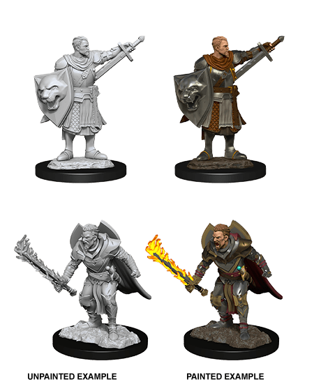 Pathfinder Deep Cuts Unpainted Miniatures: W14 Human Champion Male - Bards & Cards