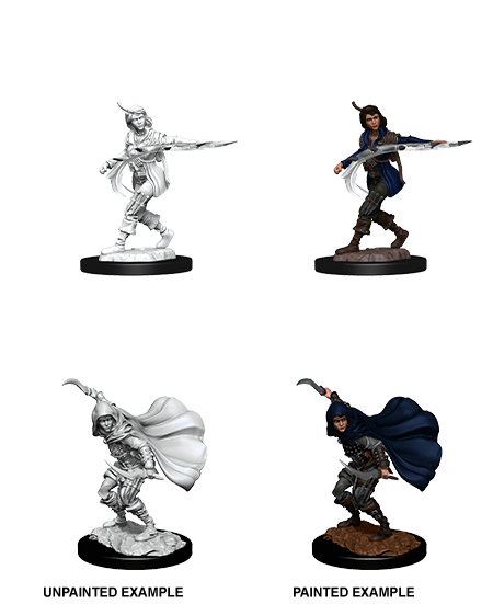 Pathfinder Deep Cuts Unpainted Miniatures: W14 Human Rogue Female - Bards & Cards