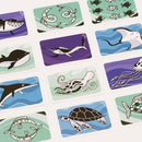 Fish 'n' Flip - Bards & Cards