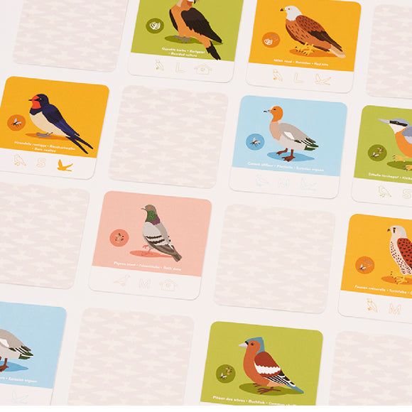 Fly Home! - Bards & Cards