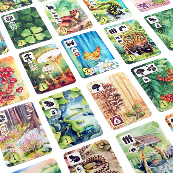 Meadow - Become the Most Skilled Nature Observer - Bards & Cards