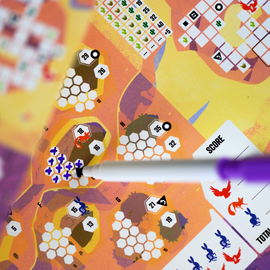 Sonora - Bards & Cards